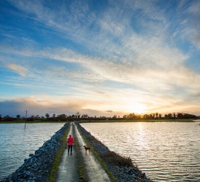 Longford www.irelandhotels.com_v3